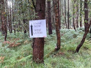 New Forest Sign
On Tree