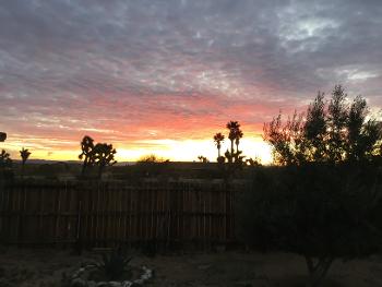 Sunset in the desert 