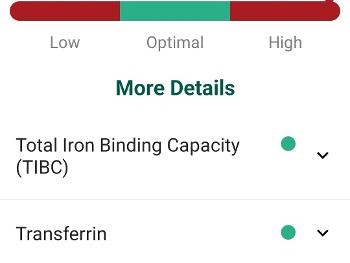 Ferritin results 