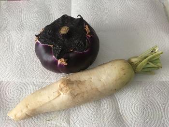 Daikon/Mouli and a new (to me) type of aubergine