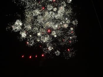 new year fireworks - like a sudden burst of frosty white blossom high in the night sky  