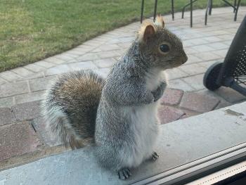 "I want nuts."
