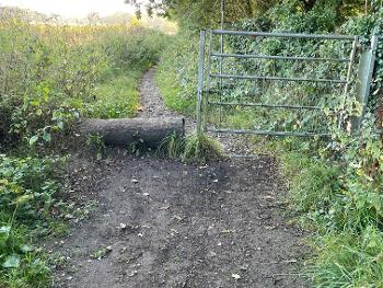 Country gate and log 