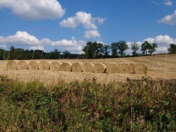 Blue skies, fluffy clouds, trees, straw bales and fields of gold in France