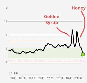 Graph showing identical glucose rise for syrup and honey. 