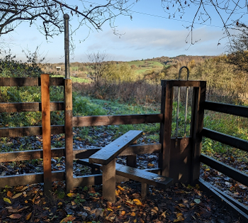 A sunny view of a stile and path through a field beyond. There is leaf litter everywhere.