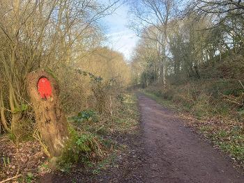 My usual running route with fairy house