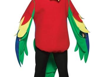 bird costume