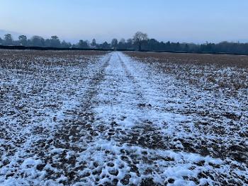 Frozen field