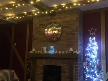 Indoor Christmas tree and lights 