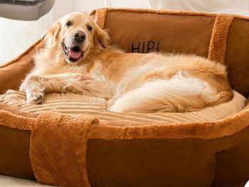 Dog sofa 