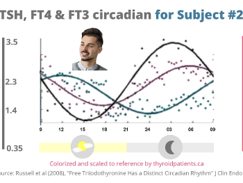 Graph showing circadian rhythms of TSH, FT4 and FT3