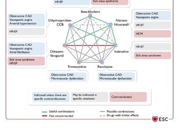 Recommended combinations of anti anginal medication 