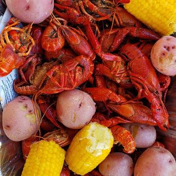 Mud bugs - Yum