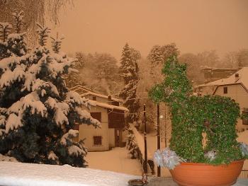 Topiary art and red snow with Saharan sand. Photos from the past. (2004)
