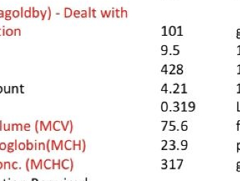 Iron results