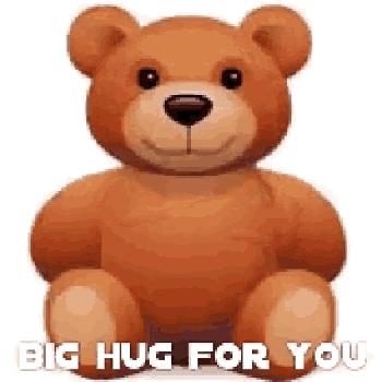 A bear hugging himself with a caption saying Big Hug For You 