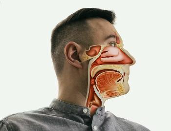 Side on view of human sinuses
