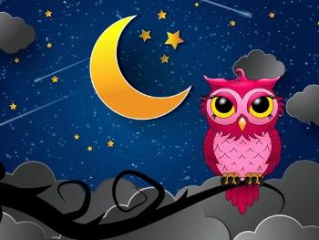 pink owl under the moon