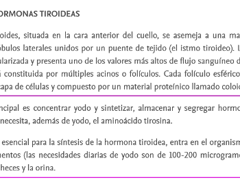 Thyroid problems. Explanation and treatment options in Spanish. Source: www.elsevier.es