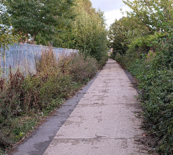 A tarmac path between two fences.