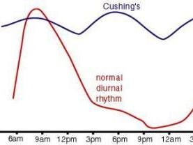 Healthy cortisol output graph plus output expected in Cushing's Disease