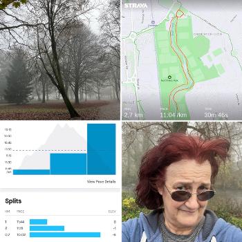 Foggy trees, Strava route, Strava splits, wild hair after taking off Buff!