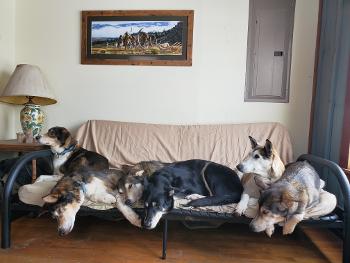 Not enough room on the futon!