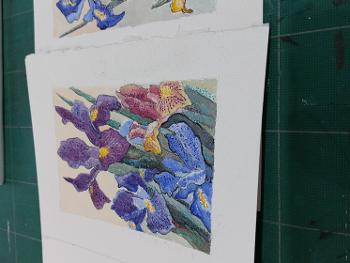 watercolour of irises