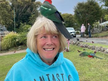 Parrot perched on a woman’s head