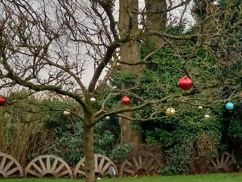 Tree and Big baubles!