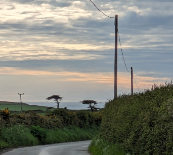 A rural road. In the distance two odd trees stand out where the sea and sky meet.