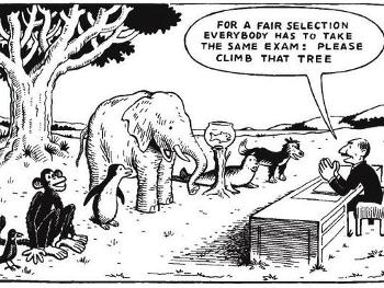 Black and white comic of a variety of animals taking a test to climb a tree.