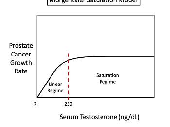Morgantaler's Saturation Model