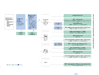 EAU guidelines