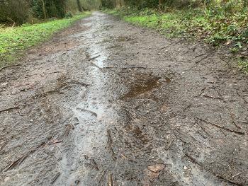 Wet path