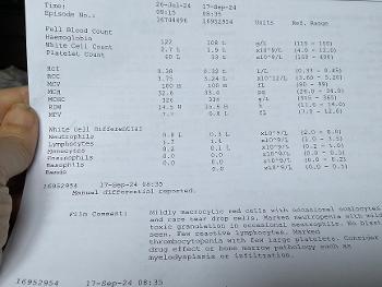 blood test results