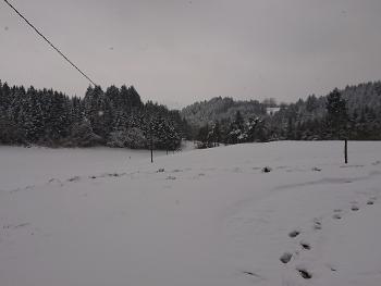 Snowy landscape in rural France