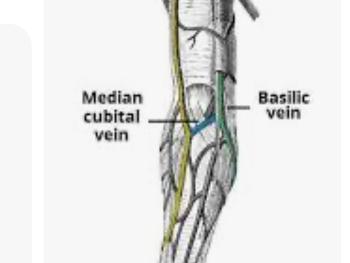 Vein map