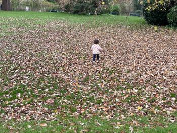 Autumn leaves and back of small child