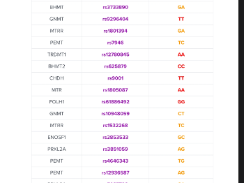 MTHFR results print out