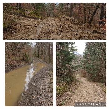 Muddy trails in hilly forest