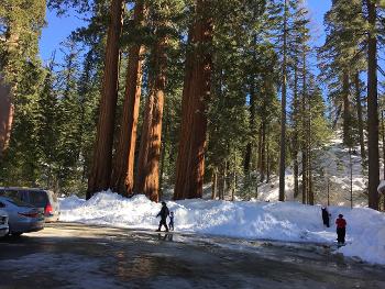 High Sierras Kings Canyon snow fun ….