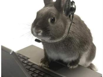 How to solve the computer problem - the bunny way 