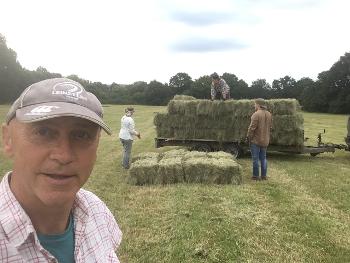 Getting hay in