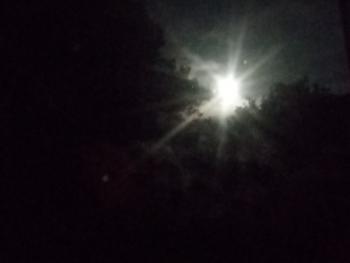 Last night's moon