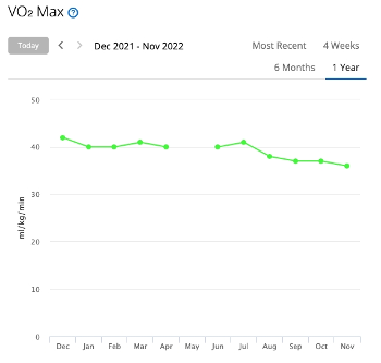 Graph of VO2 max over 1 year