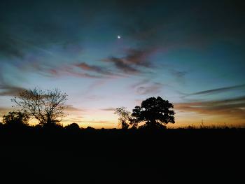 Dawn photo