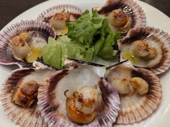 Scallops a la plancha 