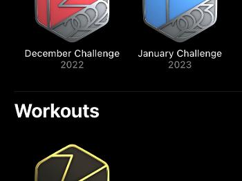 Apple Fitness Badges